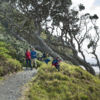 Mangawhai Cliffs Walkway