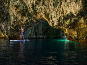 The Poor Knights Islands in the Bay of Islands are a precious biological gem, home to a variety of habitats.