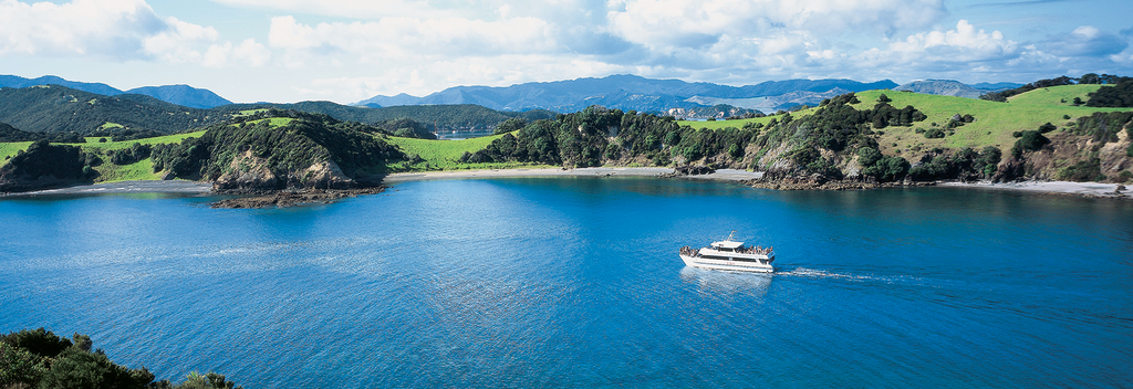 Cruise past idyllic islands, quiet coves and playful dolphins in the Bay of Islands
