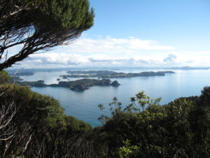 Küstenpanorama vom Cape Brett Trail aus gesehen.