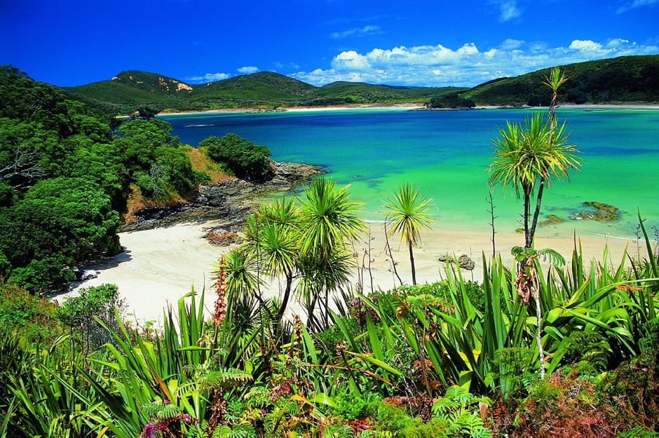 For excellent fishing, diving and swimming, discover Coopers Beach, Cable Bay, Taipa Tokerau Beach, Maitai Bay and many others.