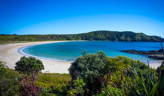 Maitai Bay, Northland