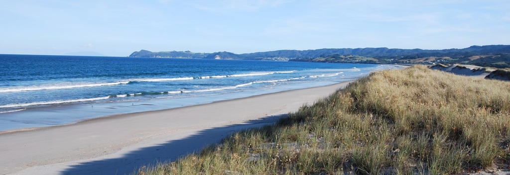 Scenic walk to Waipu Cove