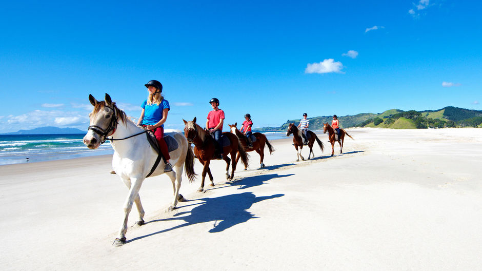 Horse riding at Pakiri Beach, north of Auckland