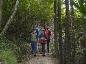 Mangawhai Cliffs Walkway