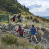 Mangawhai Cliffs Walkway