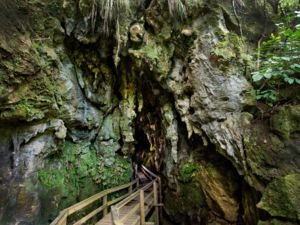 Breathtaking stalactites and stalagmites