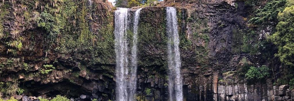 Whangarei Falls