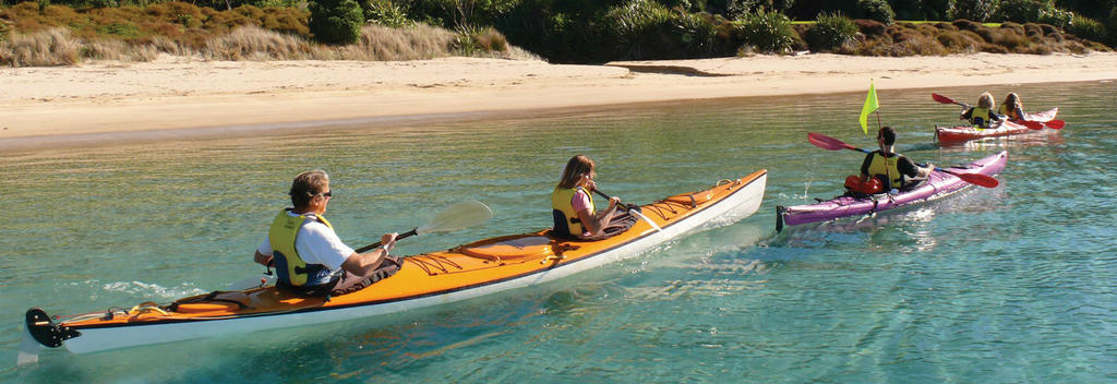 Coastal kayaking in pristine waters of Bay of Islands