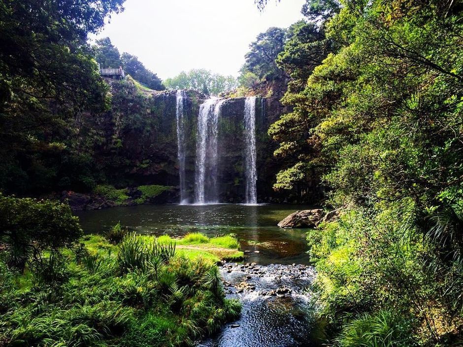 Whangarei Falls