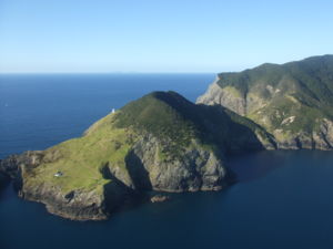 Ausblick auf die Küste vom Cape Brett