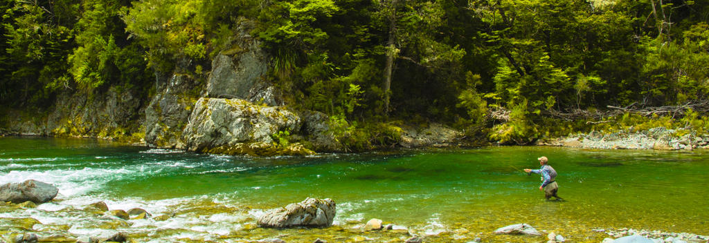 Fishing among the native beech forest