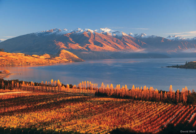 Von März bis Mai färben sich die exotischen Bäume in herbstlichen Goldtönen und die warmen Sonnentage weichen kühleren Abenden. Erfahre mehr darüber, wie es ist, im Herbst durch Neuseeland zu reisen. 