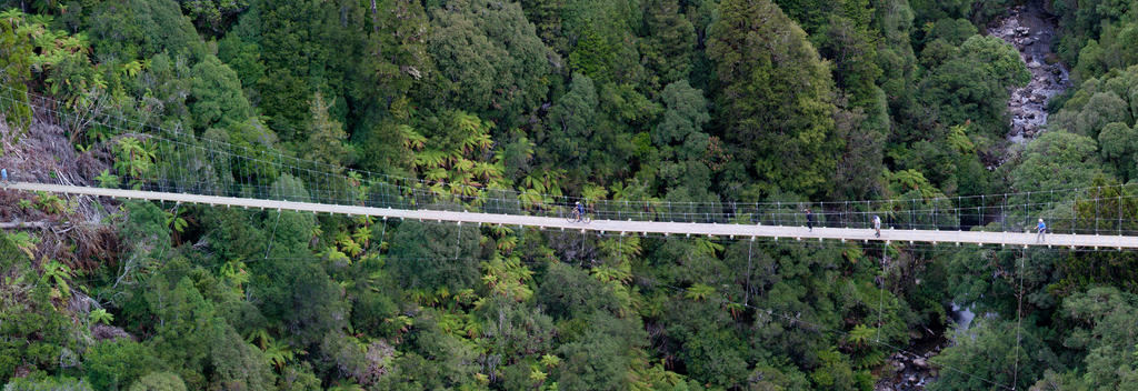 Timber Trail - Hamilton - Waikato