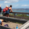 Enjoy the view of the Auckland harbour from the summit of Rangitoto Island.
