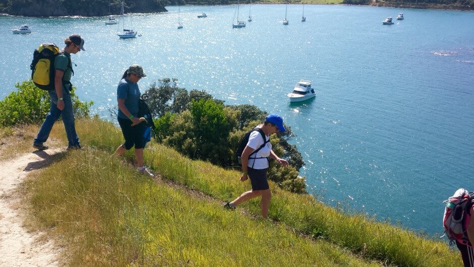 Stunning coastal trails