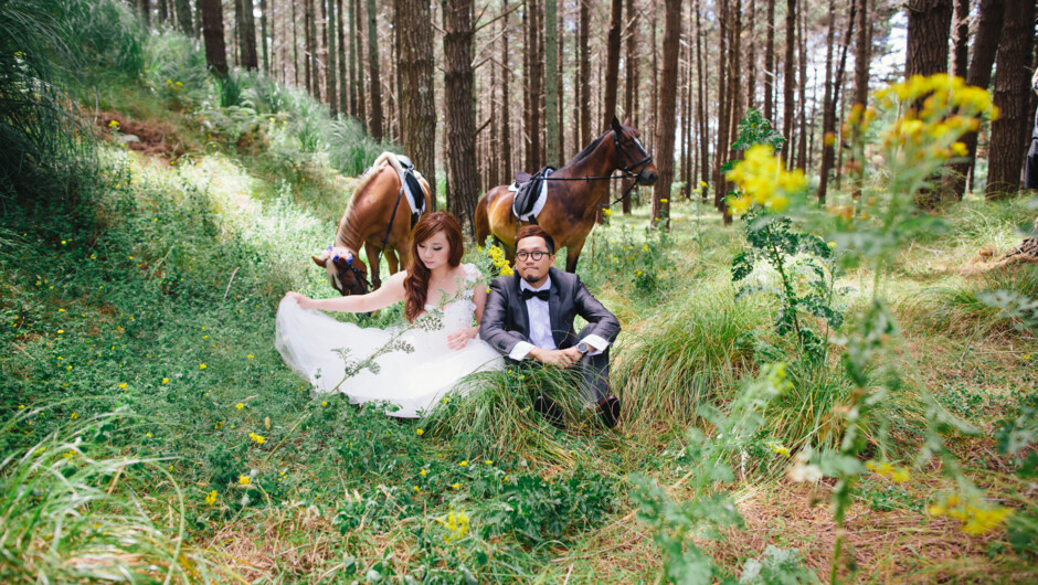 Queenstown Horse Pre Wedding Photo