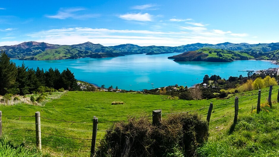 View from of Akaroa harbour our first photo stops.