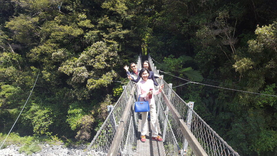 Kaitoke Regional Park swing bridge to loop track