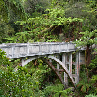 Bridge to Nowhere