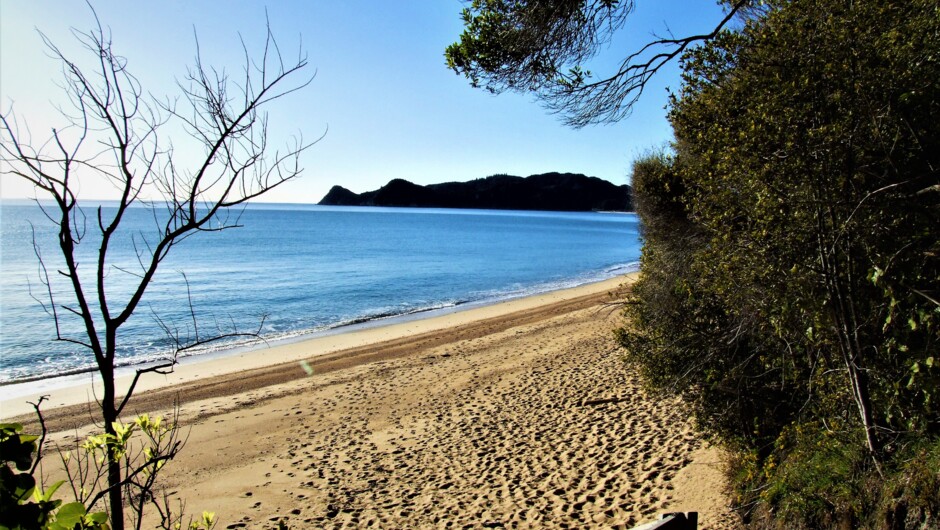 Abel Tasman Coastal Track