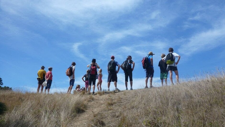 The Saddle, Whale Island, Whakatane, New Zealand