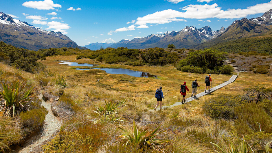 Key Summit - Routeburn Track