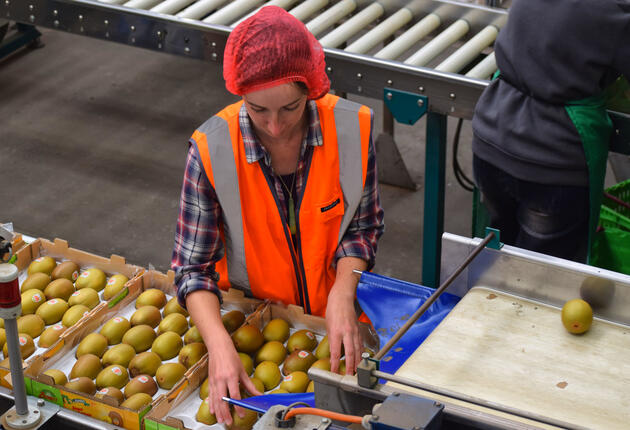 Work New Zealand ist Working-Holiday-Experte: von Jobsuche, über Unterkunft bis hin zur Reisebuchung zu vergünstigten Preisen – alles ist abgedeckt.