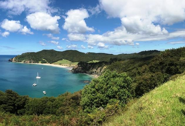 你可以在蓝绿色水域潜水，品尝葡萄酒或到原野间放松身心。了解新西兰最佳岛屿的更多信息。