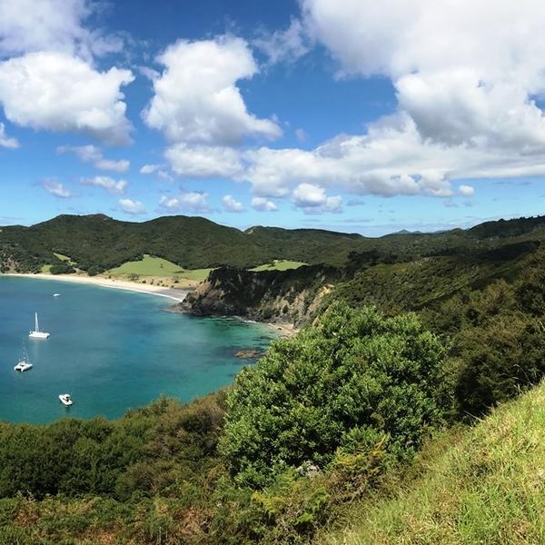 Great Barrier Island, Hauraki Gulf 