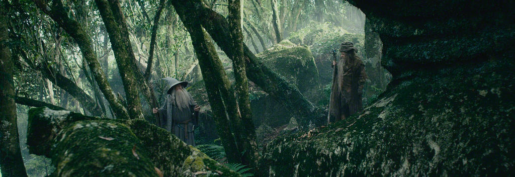 Gandalf and Radagast