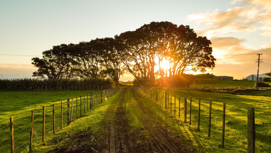 Taranaki