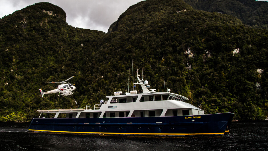 Island Passage Fiordland Trip