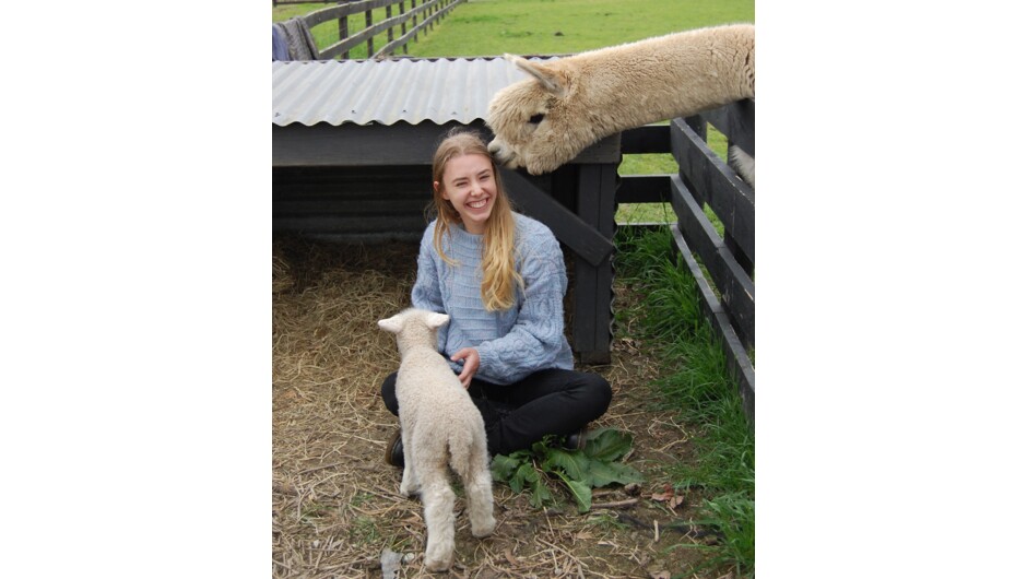 Guest enjoying the very friendly animals