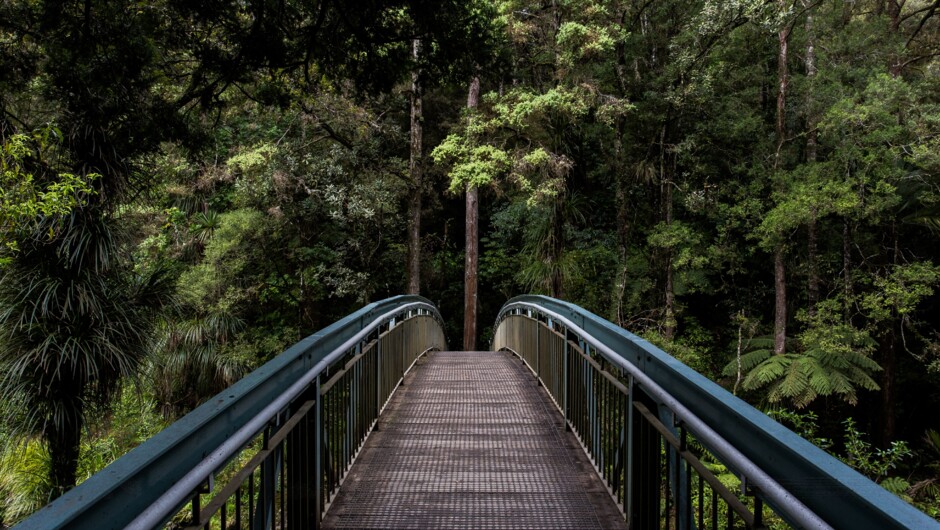 Whangarei Falls