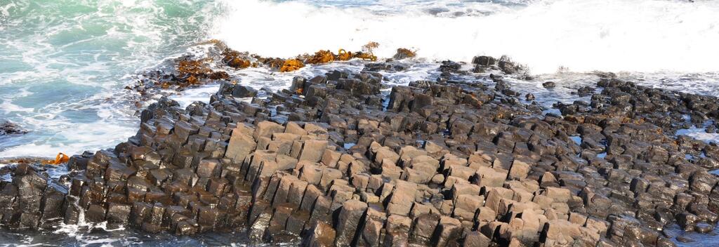 Basalt Columns, Chatham Islands