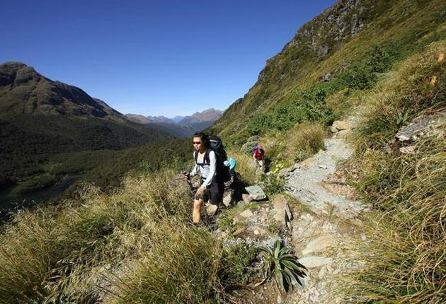Fiordland ist neben drei von Neuseelands neun Great Walks gibt es in der Region zahlreiche wunderbare Tageswander.
