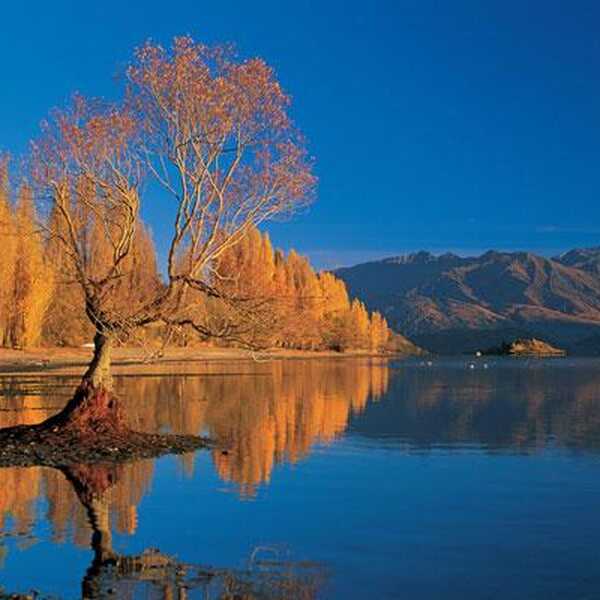 Autumn Lake Wanaka