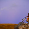 Moonlight rides and golden tussock fields.