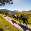 围绕格林诺奇（Glenorchy）骑马