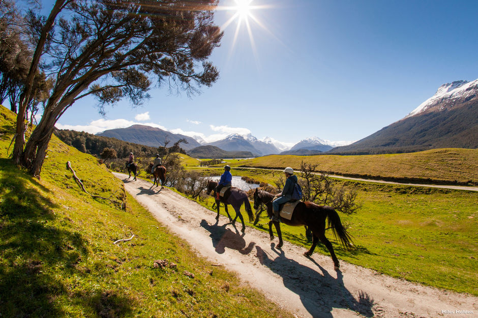 Step back in time on a horse trek through the exceptional landscapes surrounding Glenorchy.