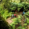 The Moerangi MTB Track is dual-purposed, attracting both mountain bikers and trampers to experience a multi-day adventure amidst native forest.