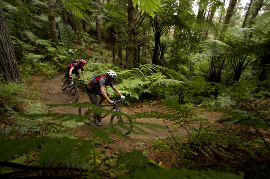 Mountain Biking in the Whakarewarewa Forest.