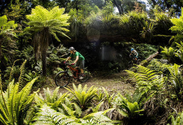 This remote and challenging mountain biking ride features towering trees, historic hiking huts and rare native birdlife within the North Island’s ancient Whirinaki Forest.