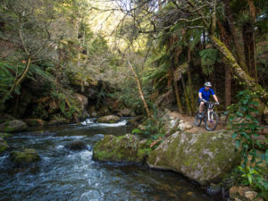 茂密的森林和美丽的河流使这里成为一个风景优美的山地自行车圣地。