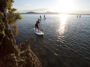 Paddleboarding as the sun rises over Lake Rotorua is magic.