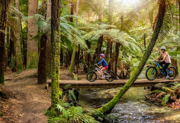 Während du Neuseelands vielfältige Rad- und Mountainbike-Wege erkundest, wetteifern atemberaubende Landschaften und vielfältige lokale Attraktionen um deine Aufmerksamkeit. Erfahre mehr über die fantastischen Touren in Neuseeland.