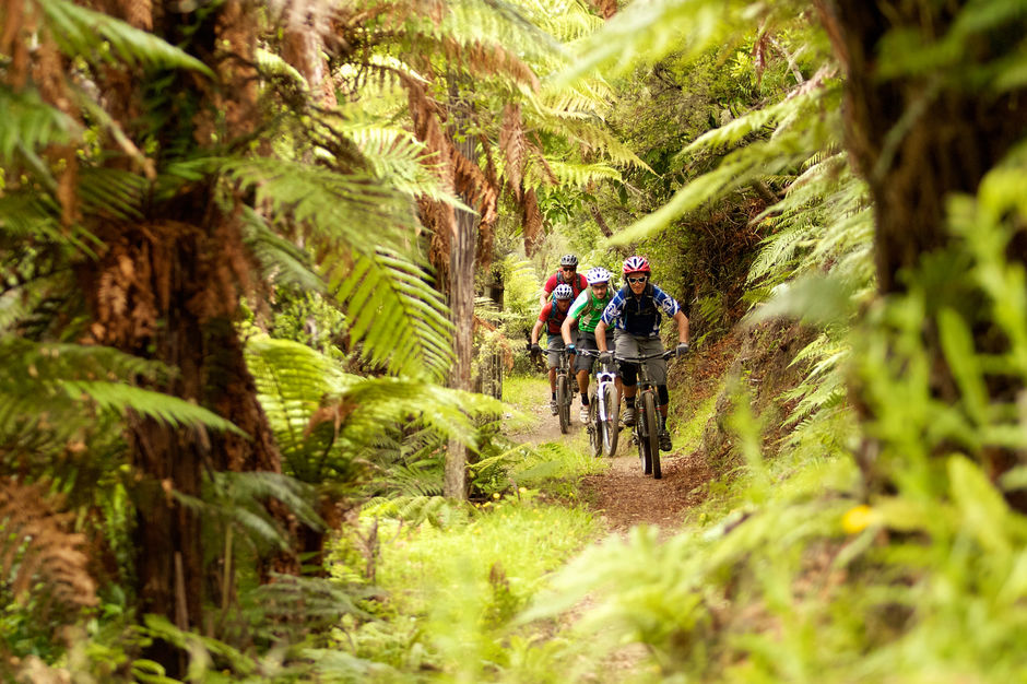 Kawakawa Bay Track Rotorua