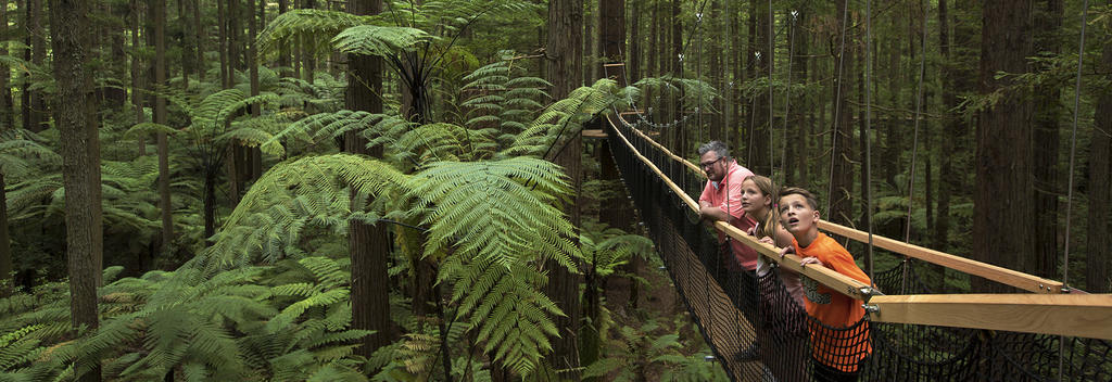 The Redwoods Treewalk is a over half a kilometre long walkway that consists of a series of 21 suspension bridges - a delight for both kids and adults.