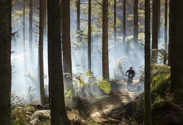 Enter mountain biking heaven amongst towering redwoods and lush native bush – and discover why Rotorua is up there with the world’s best.